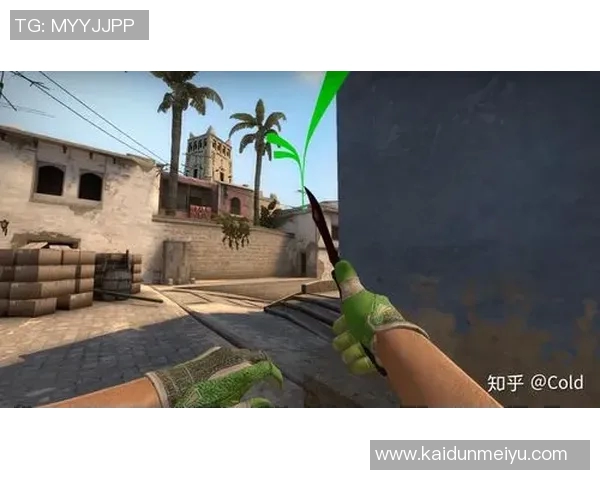 CSGO战术分析：探究FPX在比赛中的盯防策略与执行细节