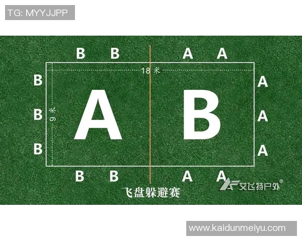 西安飞盘队的战术解析与控制体系探讨